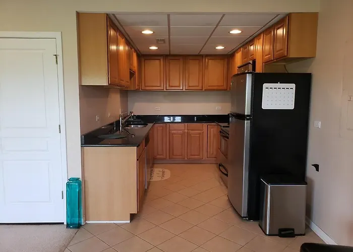 Apartment The Valley View 2 Bedroom With Kit And Private Entry Bolingbrook